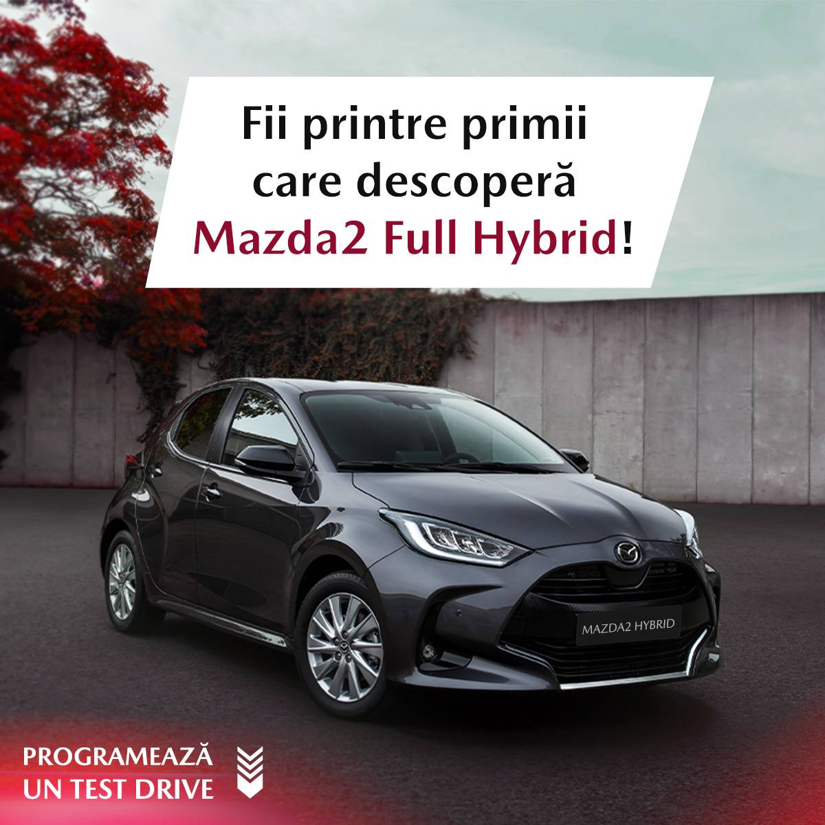 ian22_mazda2_mobile